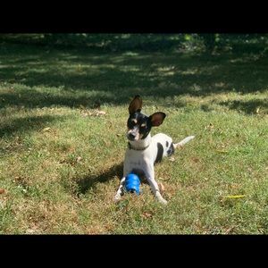 Meet your Posher, Jamie